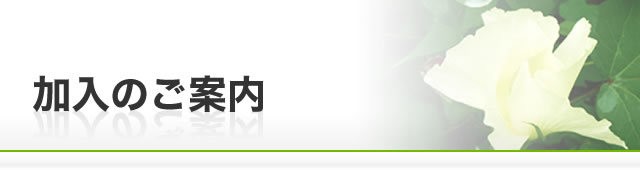 加入のご案内